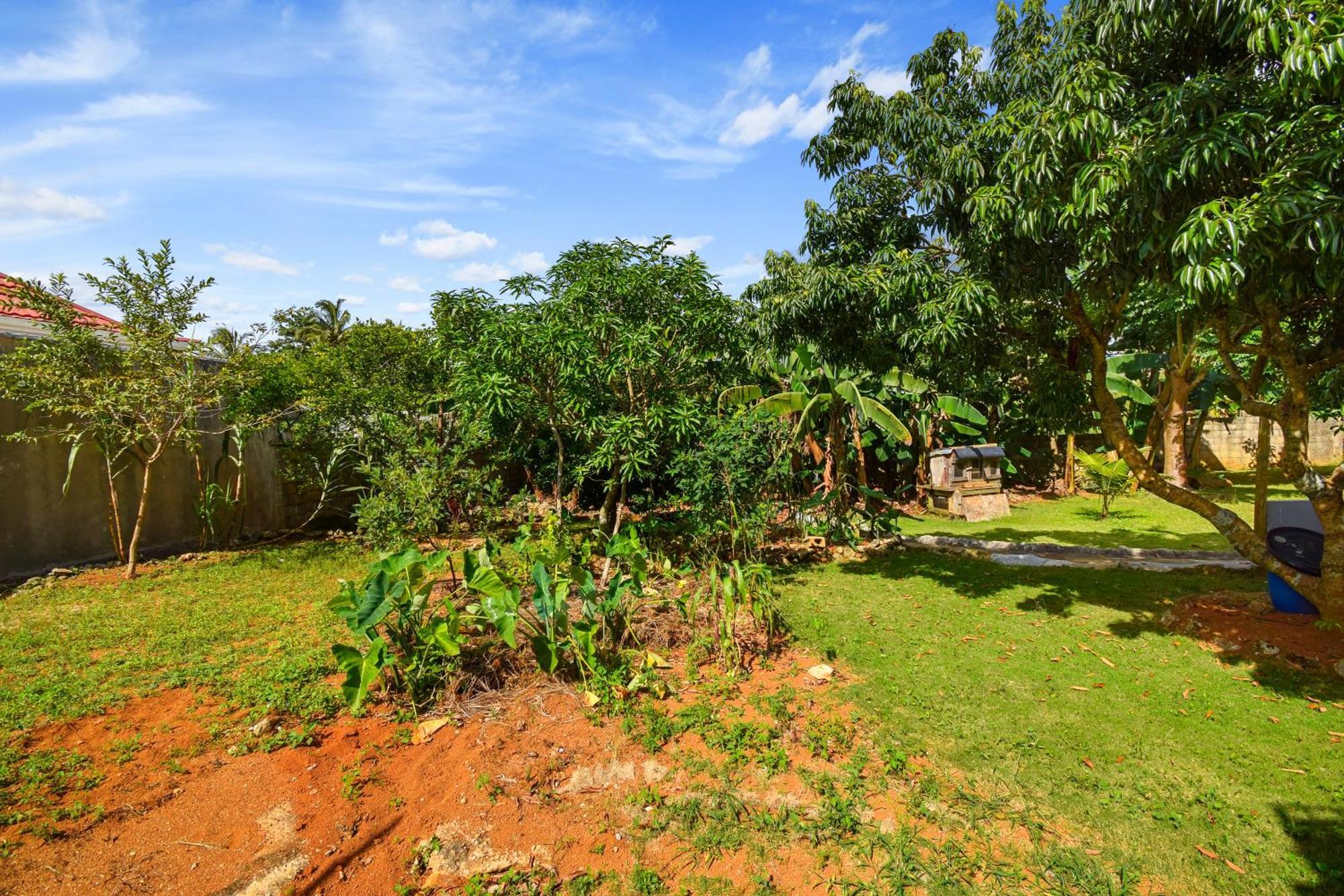 Ferienwohnung Harriott Heights Mandeville Exterior foto