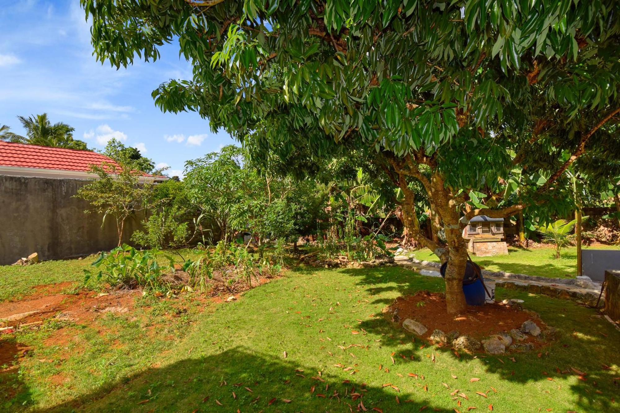 Ferienwohnung Harriott Heights Mandeville Exterior foto